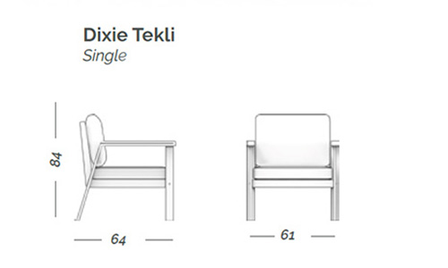 DIXIE_TEKLI.jpg (30 KB)