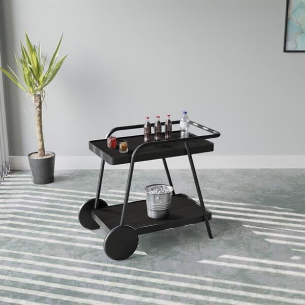 Carrito Servis Arabası 5