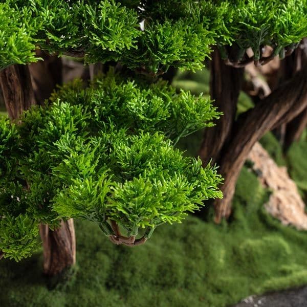Callisto Bonsai Garden 6
