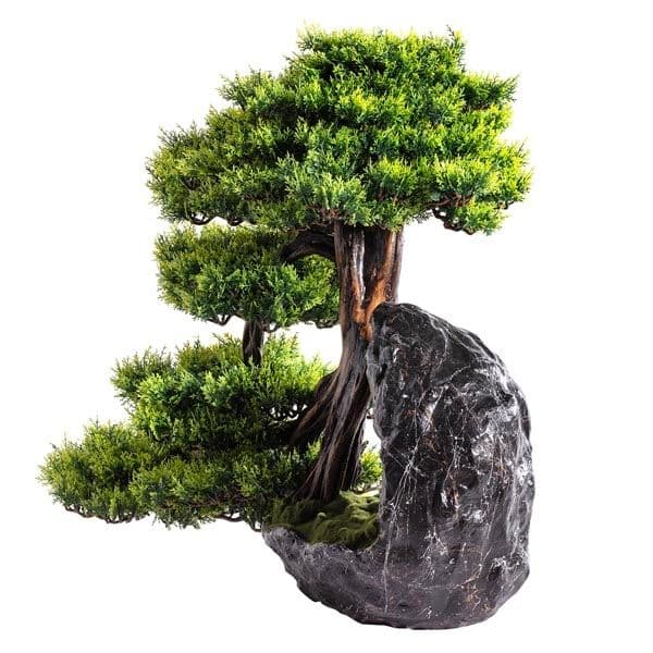 Deimos Bonsai 5