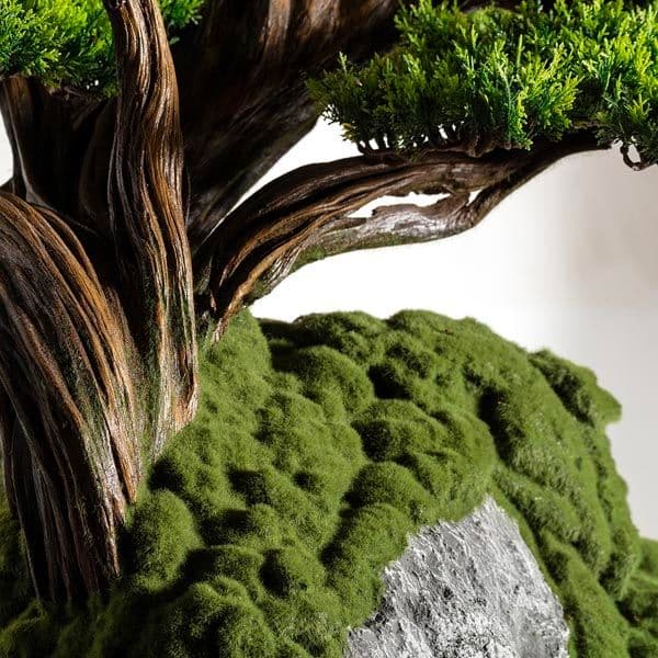 Kursa Thuja-4 7