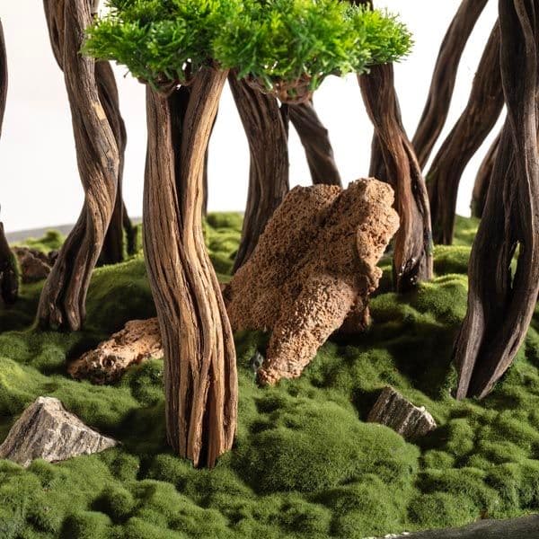 Kursa Bonsai Garden 4