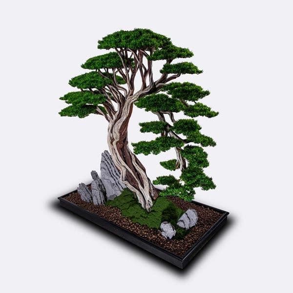 Deadwood Bonsai Tree 7