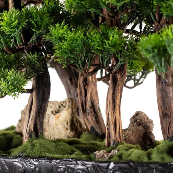 Navis Bonsai Garden 3