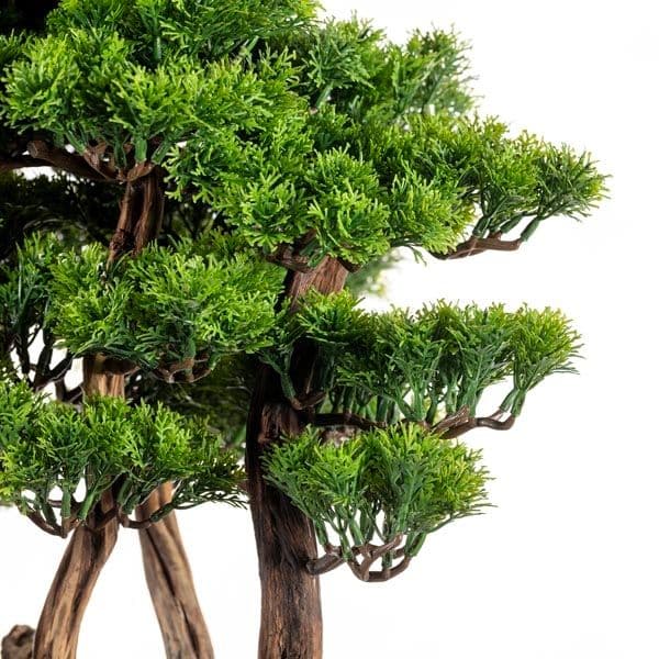 Navis Bonsai Garden 4