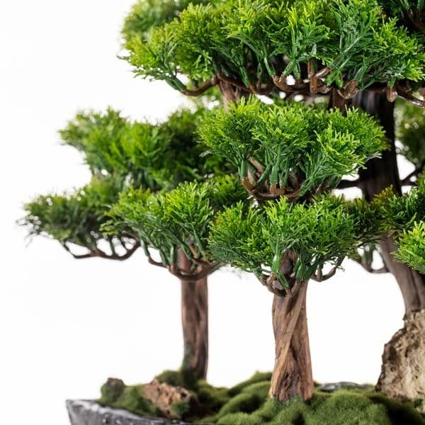 Navis Bonsai Garden 5