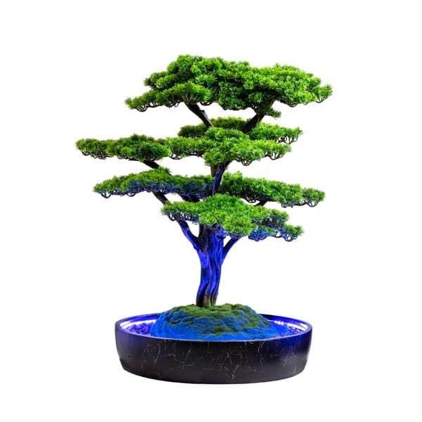 Işıklandırılmış Bonsai Ağacı-2 2