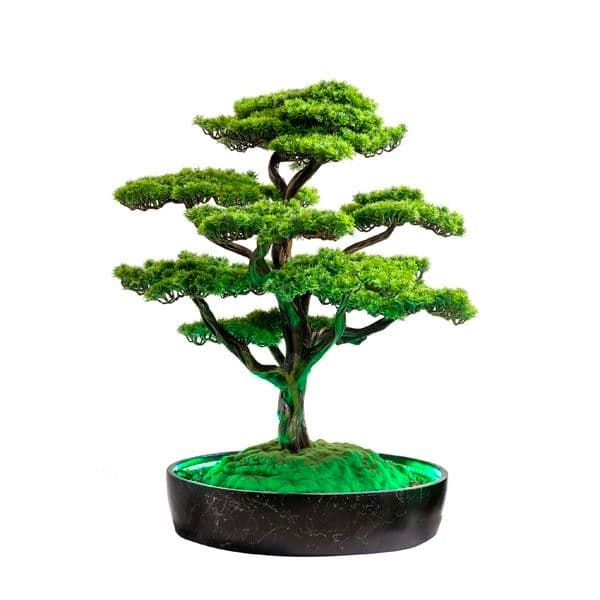 Işıklandırılmış Bonsai Ağacı-2 6