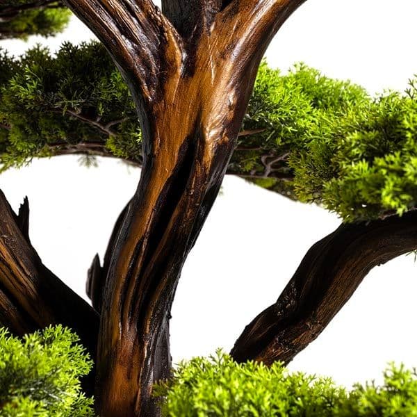 Mira Bonsai-8 3