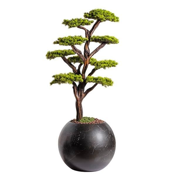 Mira Bonsai-8 5