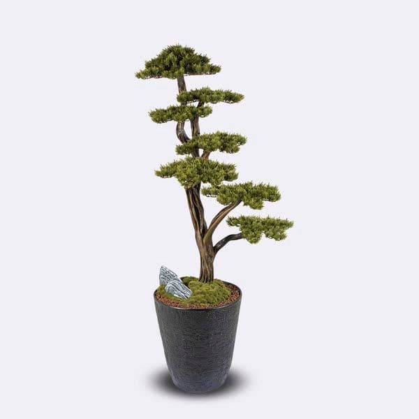 Orion Bonsai-1 4