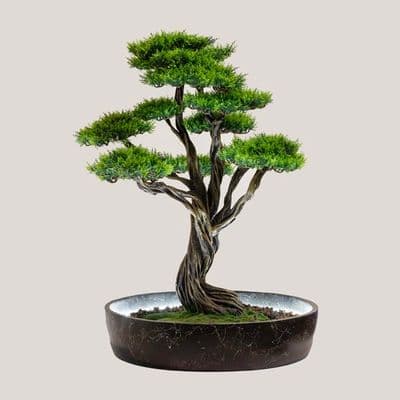 Işıklandırılmış Bonsai Ağacı-1 2