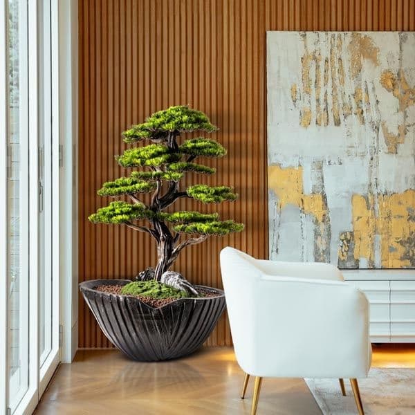 Algenib Thuja-5 5