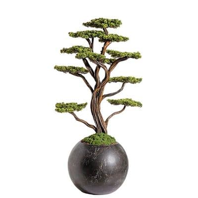 Mira Bonsai-9 2