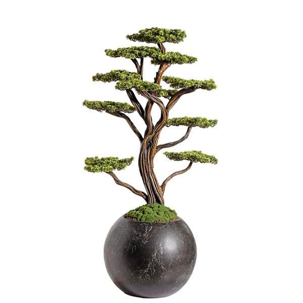 Mira Bonsai-9 2