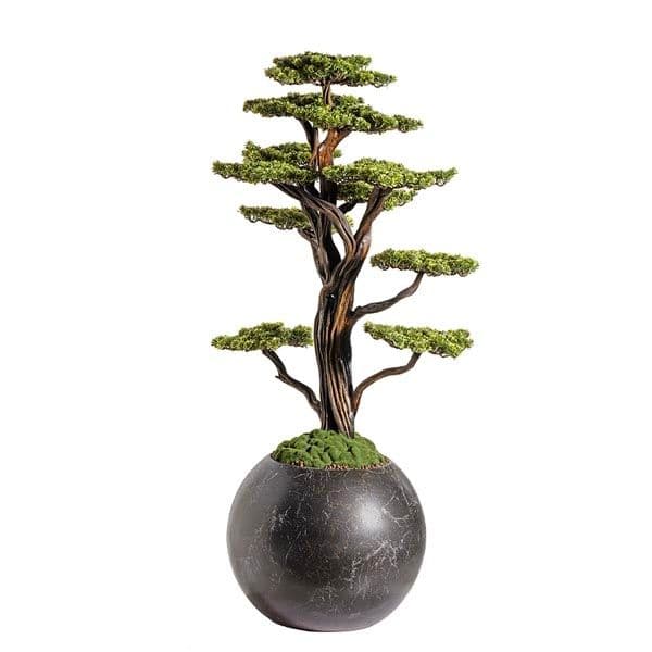 Mira Bonsai-9 3