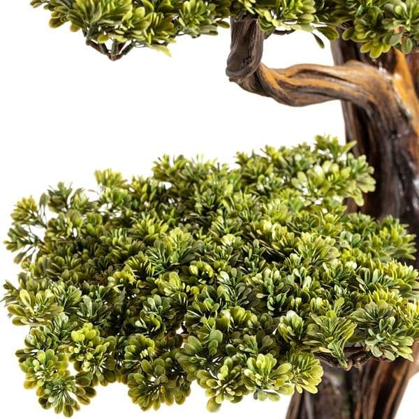 Mira Bonsai-9 6