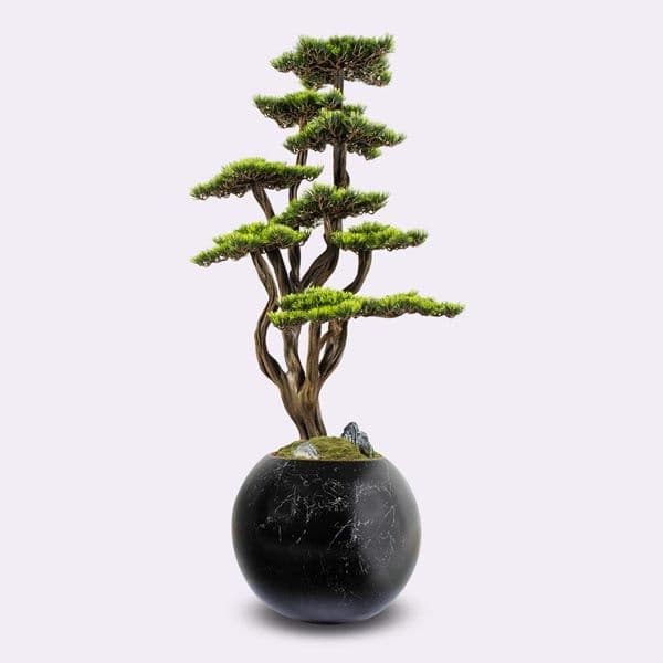 Mira Bonsai-4 4