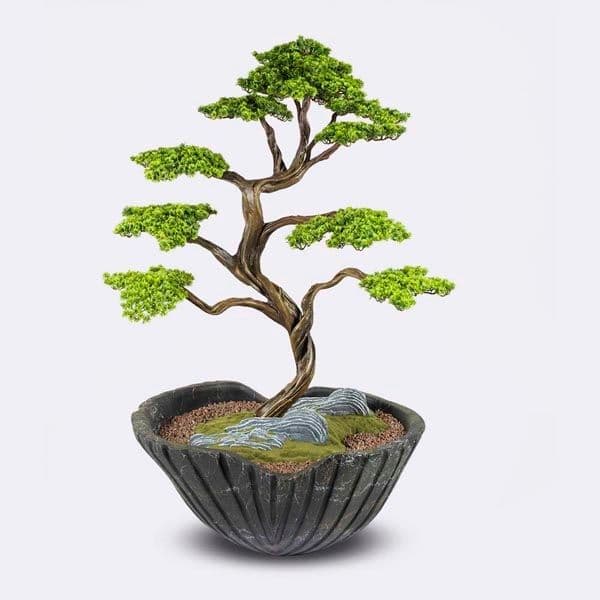 Algenib Thuja-3 3