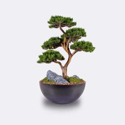Avior Bonsai-2 2