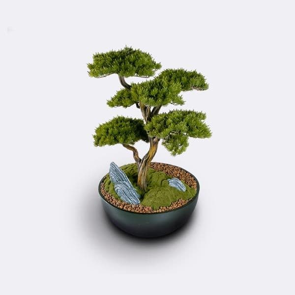Avior Bonsai-2 4