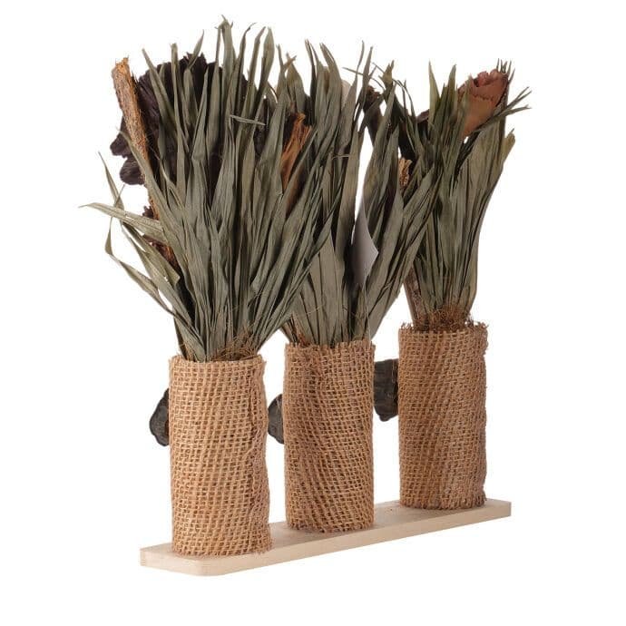 TH Saksıda Kuru Çiçek Natural 3