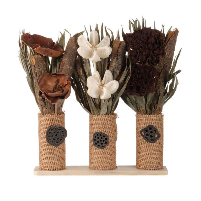 TH Saksıda Kuru Çiçek Natural 7