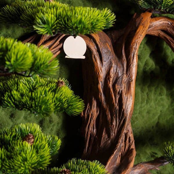 Bonsai Tablaeu Grande-4 5