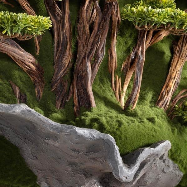 Bonsai Tablaeu Grande-5 4
