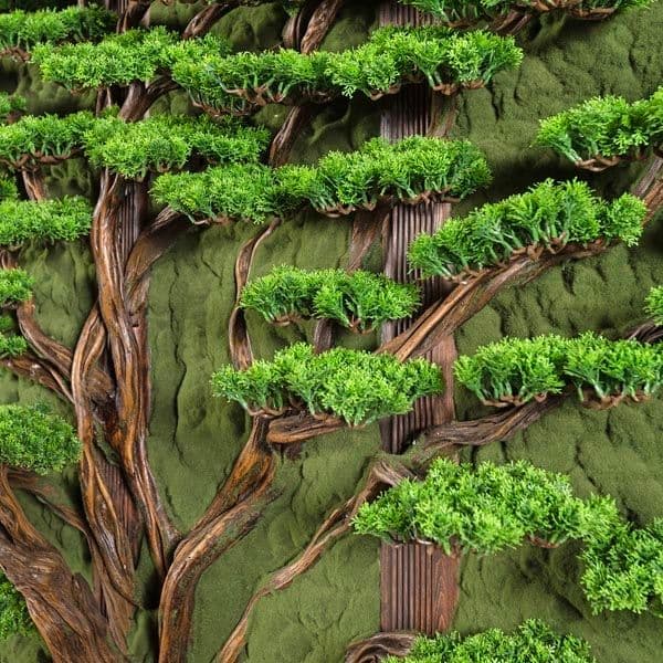 Bonsai Tablaeu Grande-6 3
