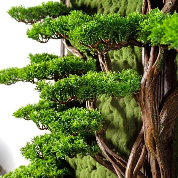 Bonsai Tablaeu Grande-6 5