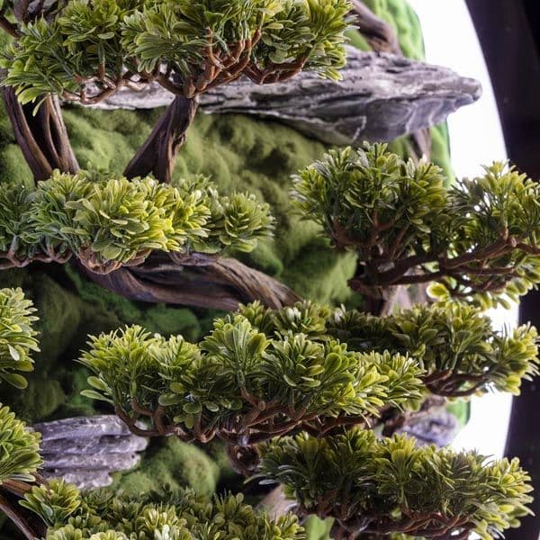 Led Işıklı Yuvarlak Bonsai Tablo-2 4