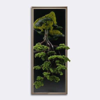Bonsai Tablaeu Grande-3 2