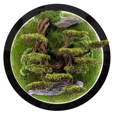 Led Işıklı Yuvarlak Bonsai Tablo-3 2