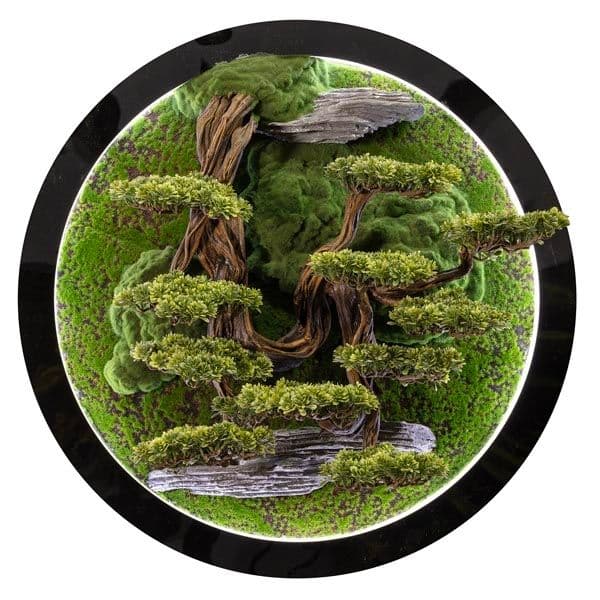 Led Işıklı Yuvarlak Bonsai Tablo-3 2