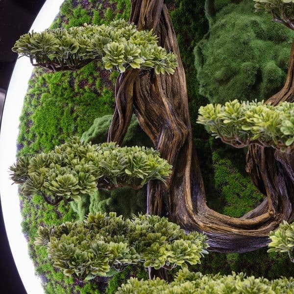 Led Işıklı Yuvarlak Bonsai Tablo-3 5