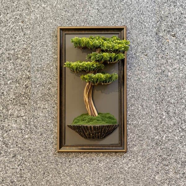 Bonsai Tablaeu 7