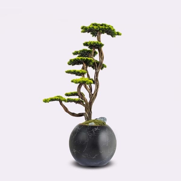 Mira Bonsai-6 2
