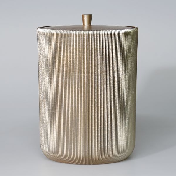 Lydia Çöp Kovası Vizon 2