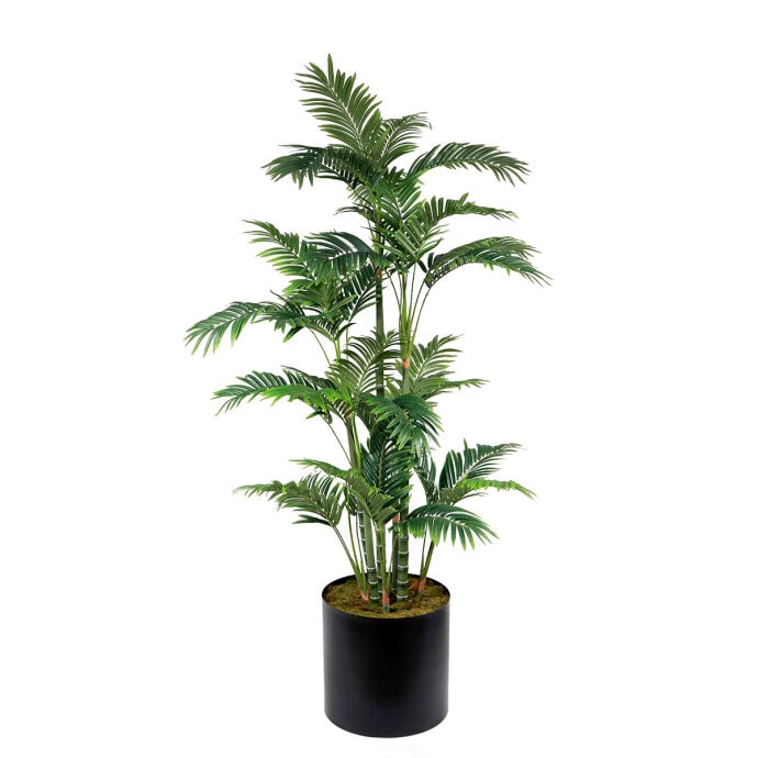 Areka 180cm Ağaç 3