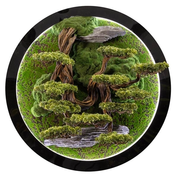 Led Işıklı Yuvarlak Bonsai Tablo-3 2