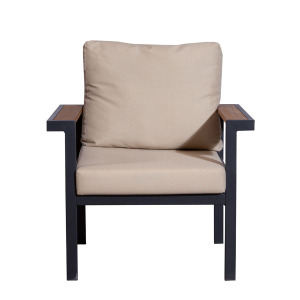 AB24 Tekli Koltuk V2501 75X62X76 - TepeHome