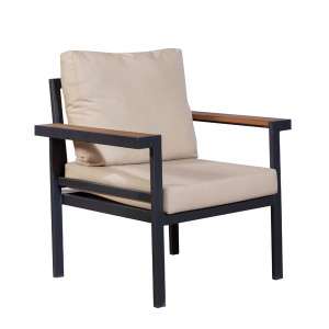 AB24 Tekli Koltuk V2501 75X62X76 - TepeHome (1)