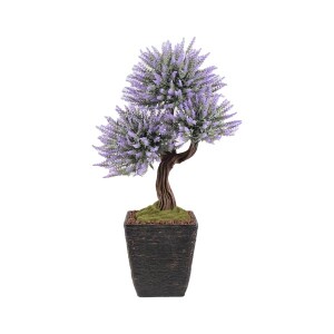 Alcor Lavender Saksılı Çiçek - TepeHome