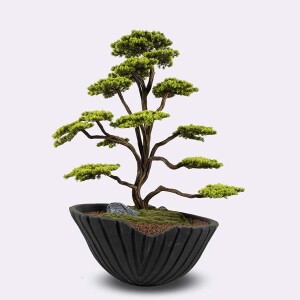 Algenib Thuja-1 Saksılı Çiçek - TepeHome