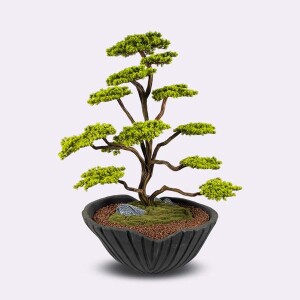 Algenib Thuja-1 Saksılı Çiçek - 2