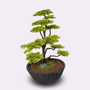 Algenib Thuja-1 Saksılı Çiçek - 3