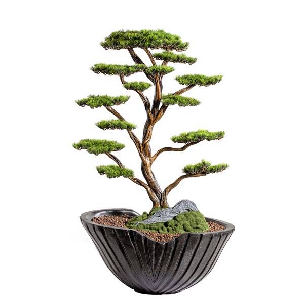 Saksılı Algenib Thuja 2 110x180Cm - 1