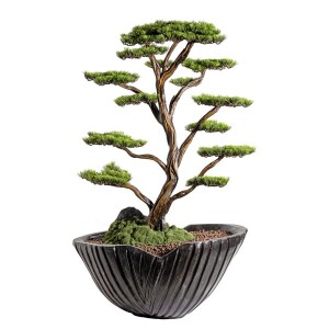 Saksılı Algenib Thuja 2 110x180Cm - TepeHome (1)