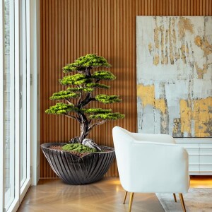 Algenib Thuja-5 Saksılı Çiçek - 4